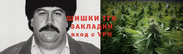 дживик Абаза