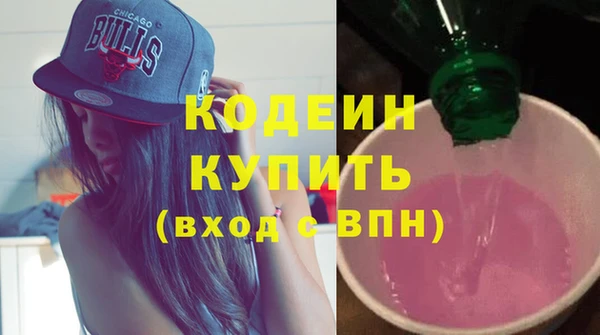 дживик Абаза