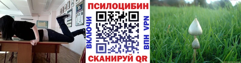hydra ссылка  продажа наркотиков  Дербент  Псилоцибиновые грибы Cubensis 
