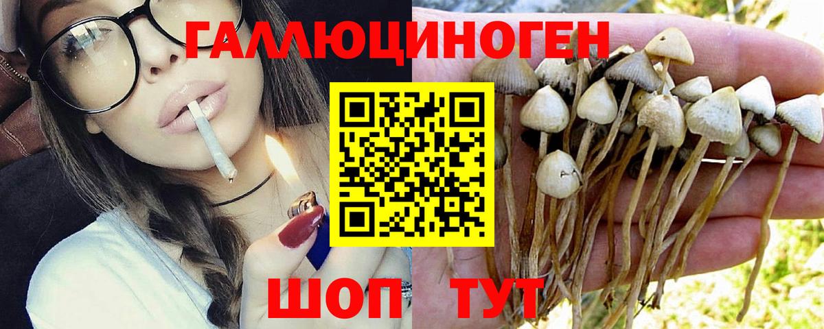 Галлюциногенные грибы Psilocybine cubensis  Вход с VPN  Дербент  Псилоцибиновые грибы Magic Shrooms 
